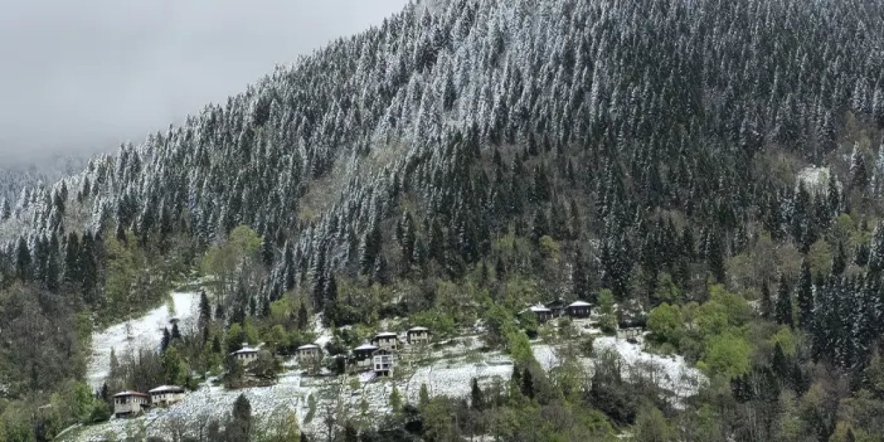 Rize’nin yüksek kesimleri karlandı!
