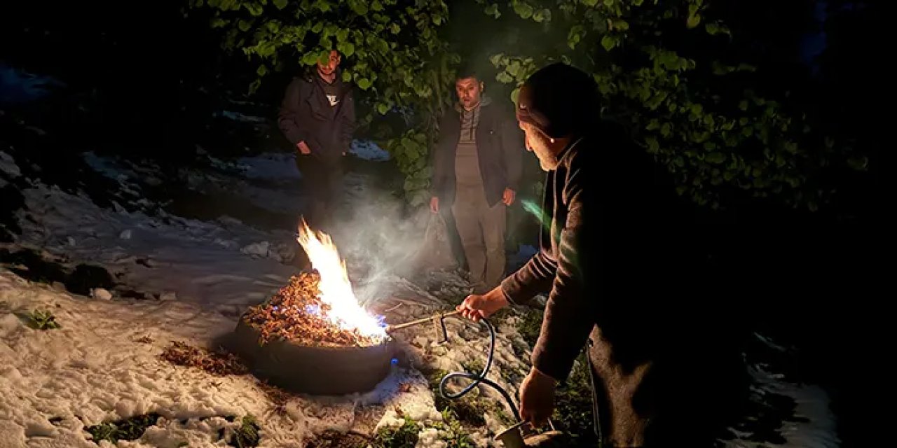 Fındık bahçelerinde gece nöbeti! Lastik yakarak çözüm üretmeye çalıştılar