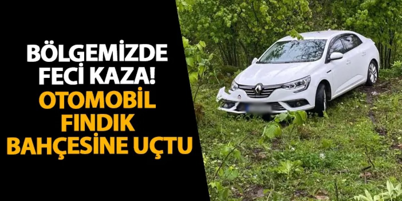 Ordu’da feci kaza! Otomobil fındık bahçesine uçtu