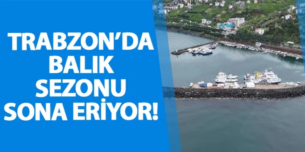 Trabzon’da balık sezonu sona eriyor!