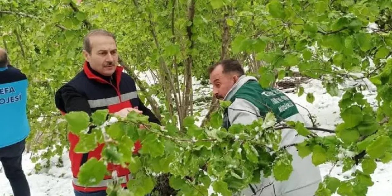 Samsun Terme’de hasar tespit çalışmaları başladı!