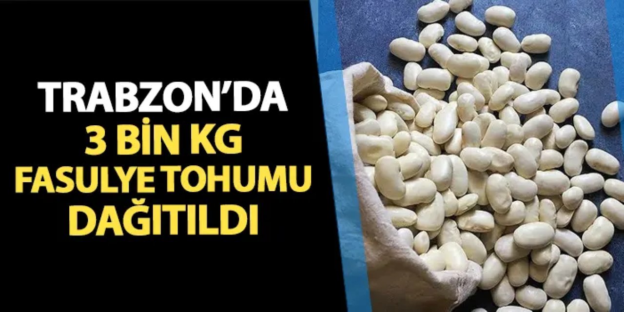 Trabzon'da 3 bin kilogram fasulye tohumu dağıtıldı