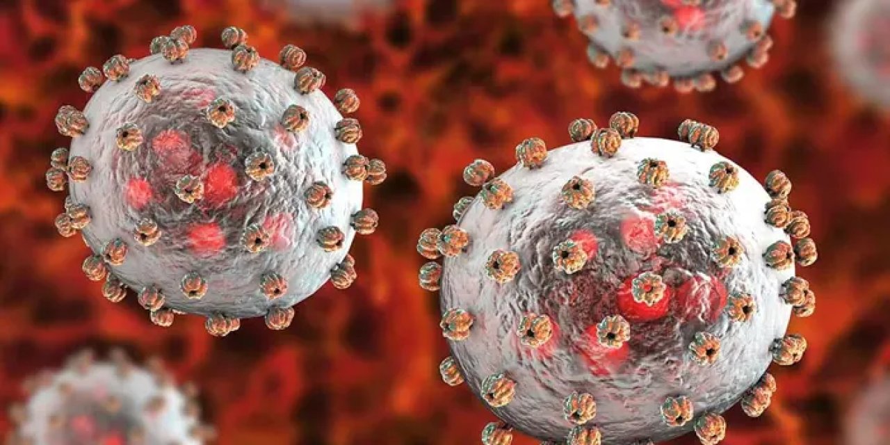 Nijerya'da ‘Lassa ateşi’ salgını: 127 ölü