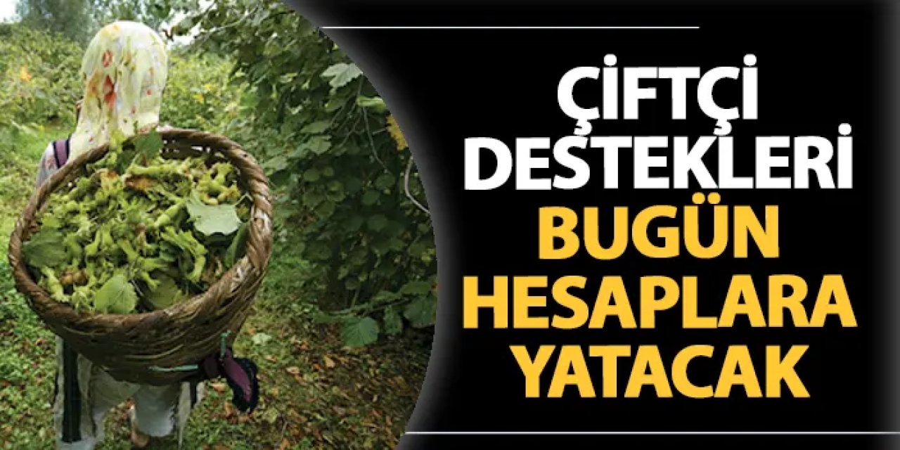 Çiftçi destek ödemeleri bugün hesaplara yatacak