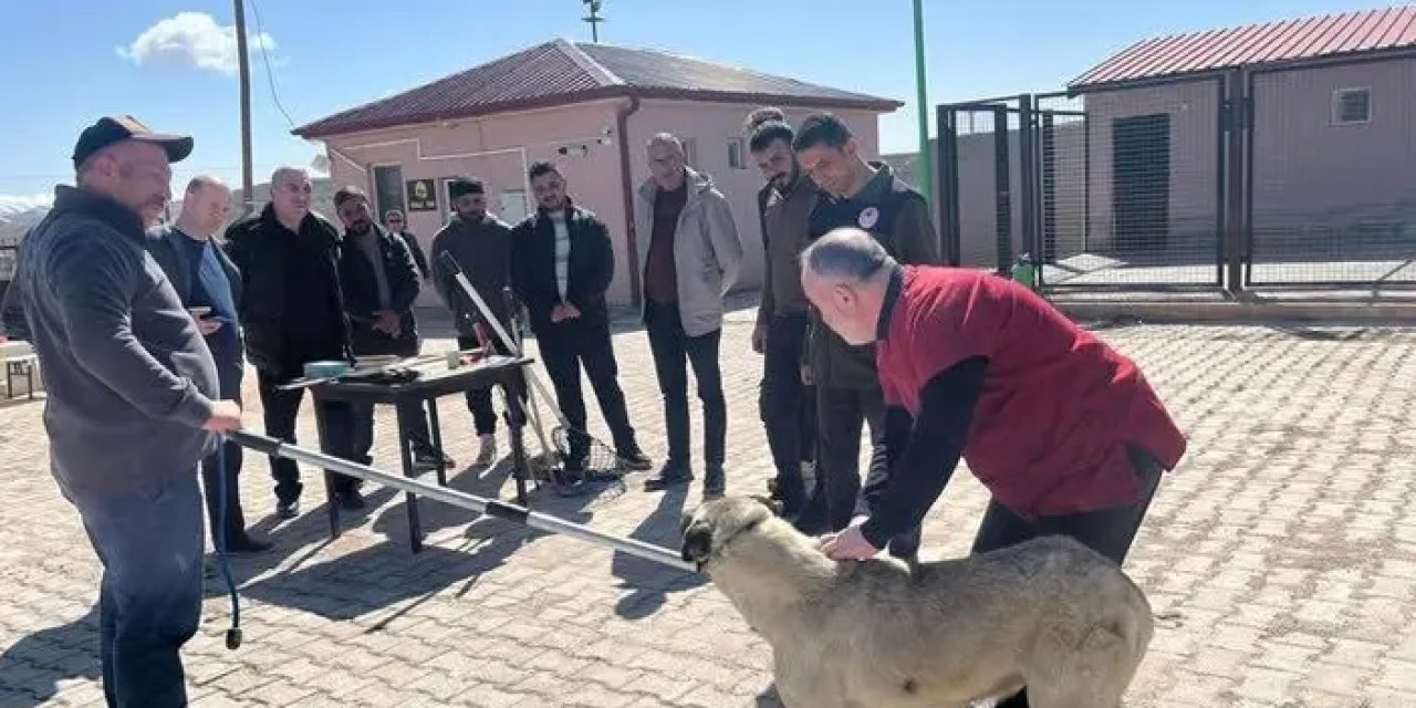Bayburt’ta sokak hayvanlarını yakalama personeli eğitildi!