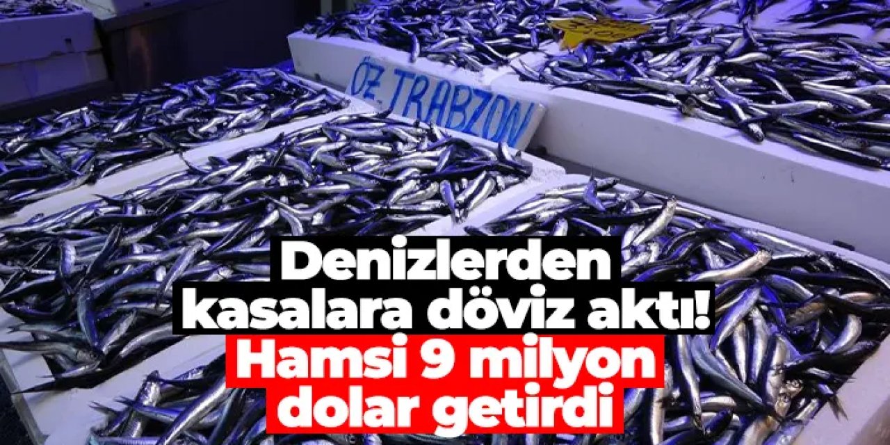Denizlerden kasalara döviz aktı: Hamsi 9 milyon dolar getirdi
