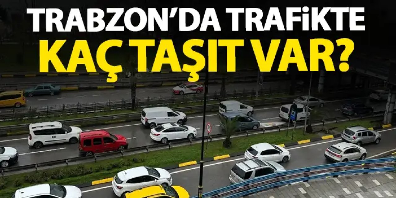 Doğu Karadeniz’de en fazla taşıt Trabzon’da! İşte trafikteki araç sayısı
