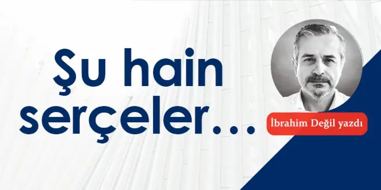 Şu hain serçeler…
