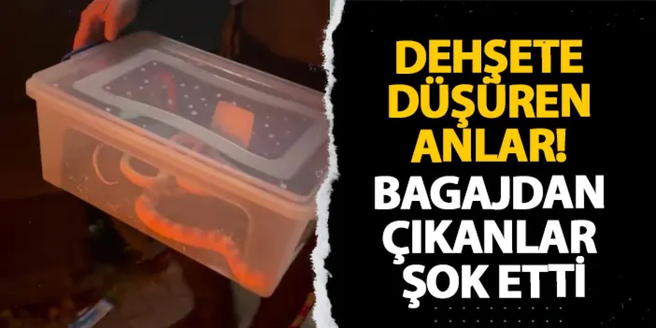 İstanbul’da dehşete düşüren anlar! Bagajdan çıkanlar şok etti
