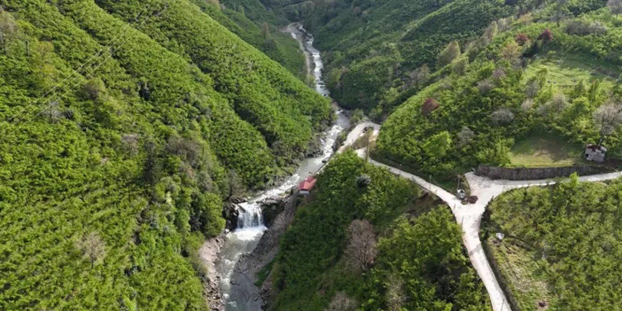 Ordu’da Çiseli Şelalesi’ne ziyaretçilerden yoğun ilgi!
