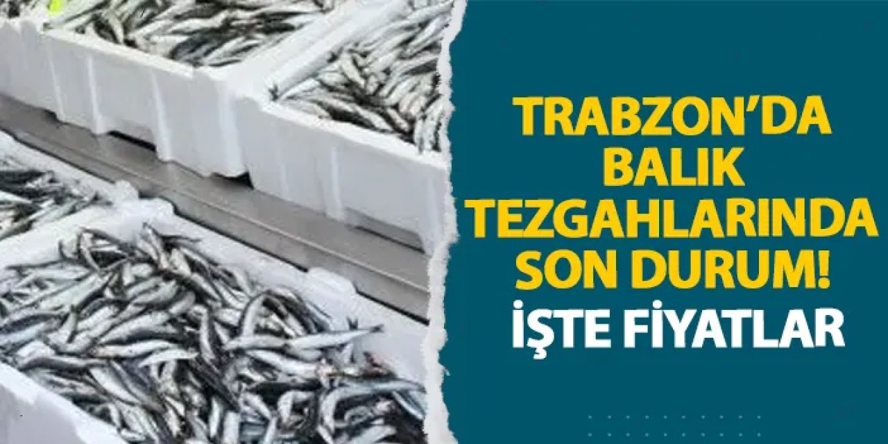 Trabzon’da balık tezgahlarında son durum! İşte fiyatlar