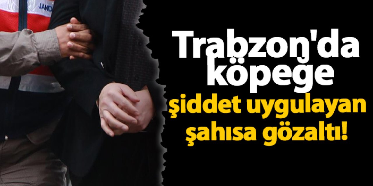 Trabzon'da köpeğe şiddet uygulayan şahısa gözaltı!