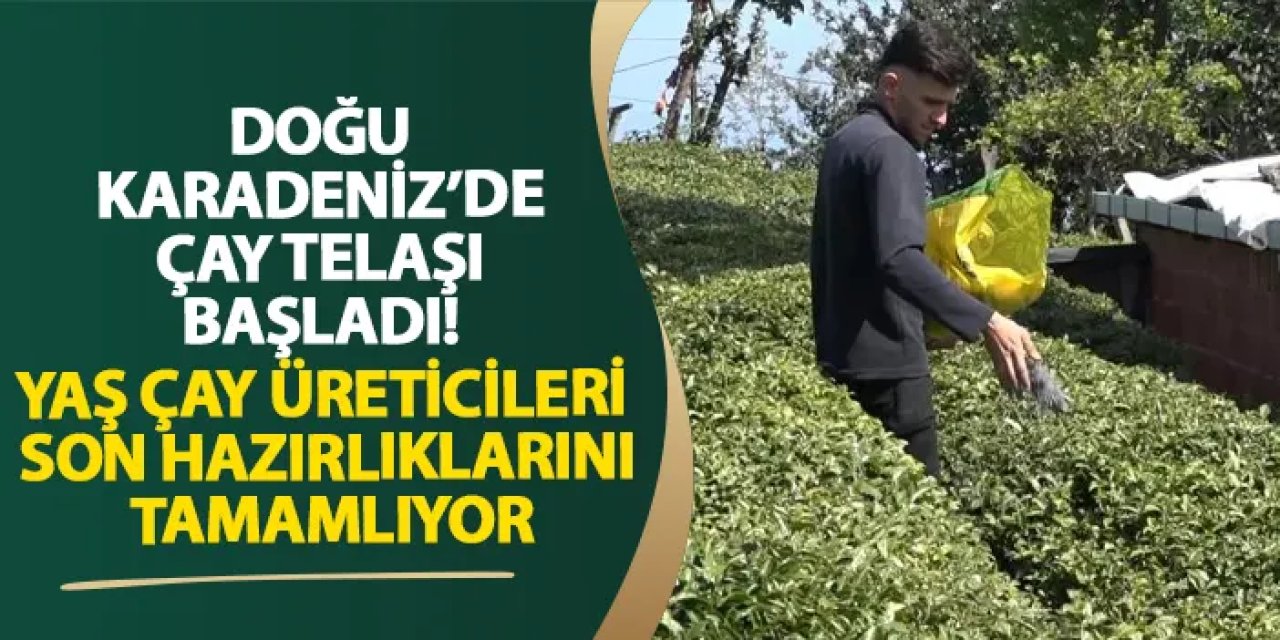 Doğu Karadeniz’de çay telaşı başladı! Yaş çay üreticileri son hazırlıklarını tamamlıyor