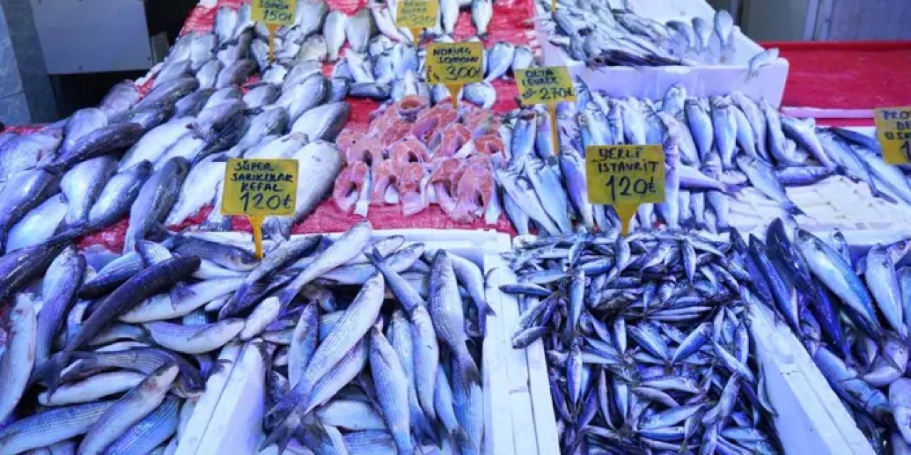 Samsun’da soğuk hava balıkçılara yaradı