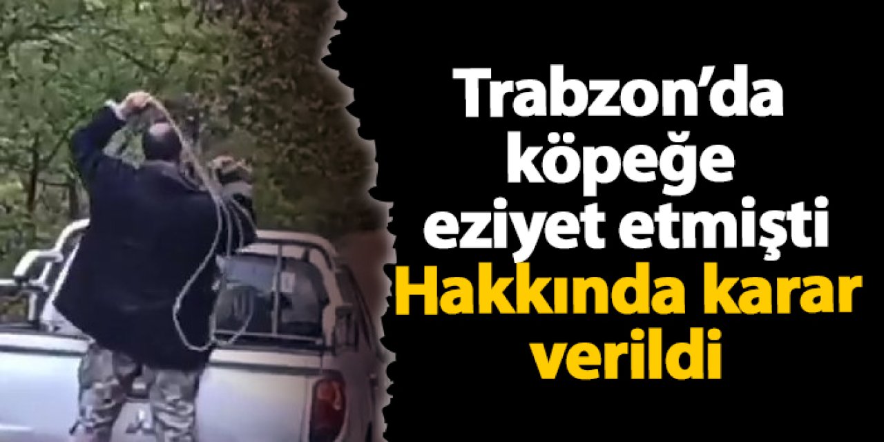 Trabzon’da köpeğe eziyet etmişti! Hakkında karar verildi