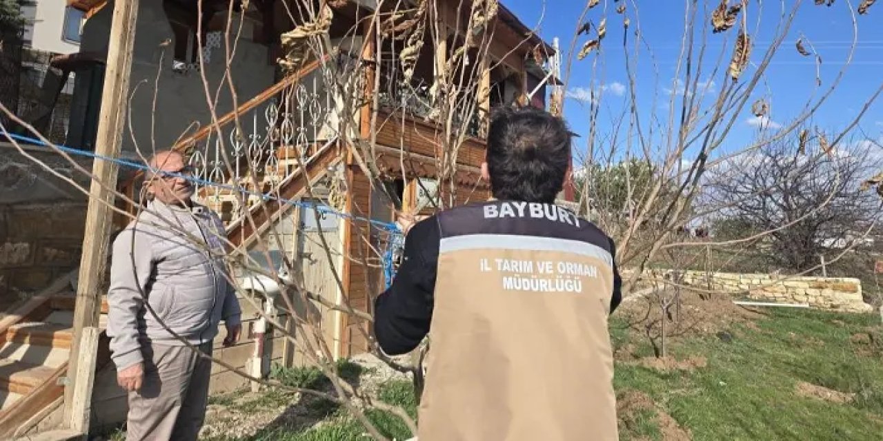 Bayburt’ta meyve ağaçlarında hastalık kontrolü yapıldı!