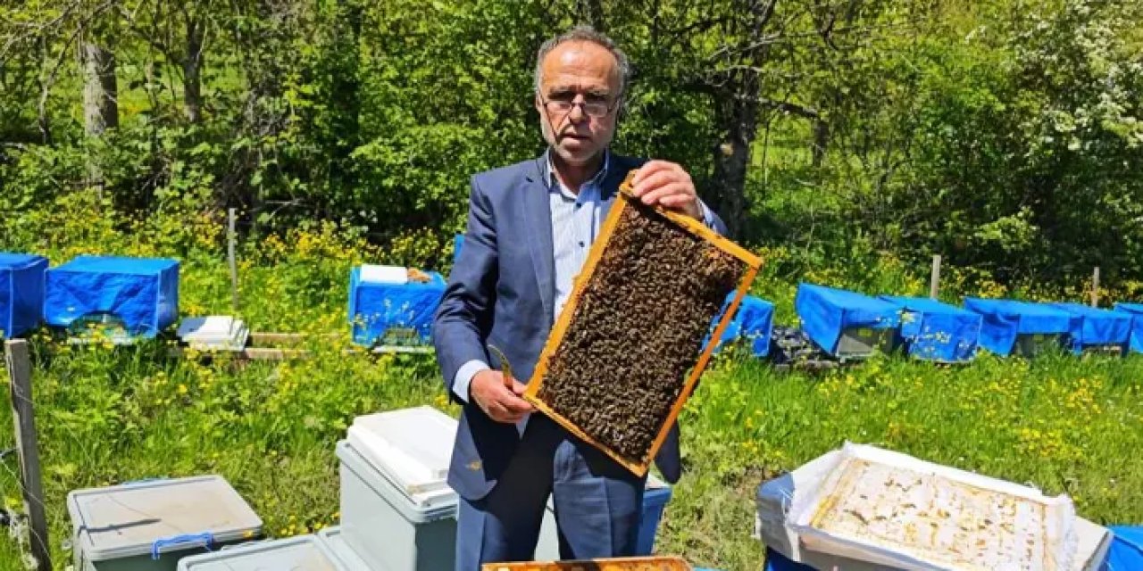 Artvin’de arıcılığı zirai don vurdu! Yüzde 60 kayıp bekleniyor
