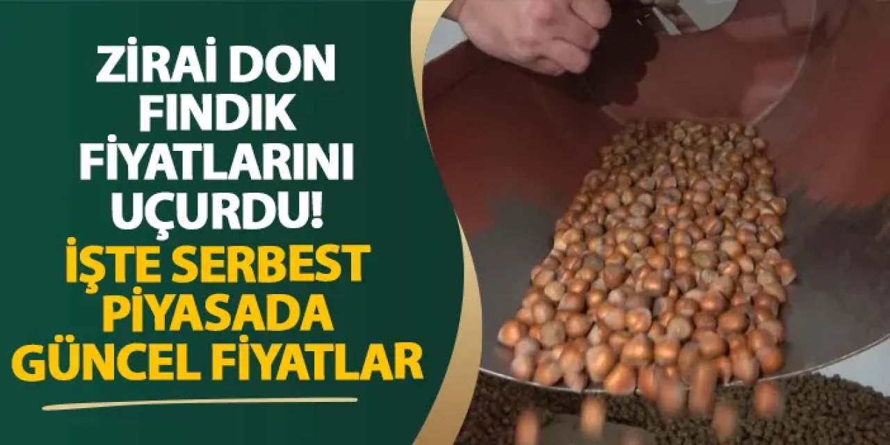 Giresun’da zirai don fındık fiyatlarını uçurdu! İşte serbest piyasada güncel fiyatlar