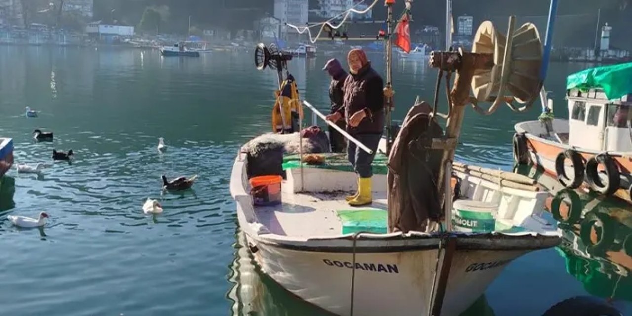 Karadeniz’de dev mezgit şaşkınlığı! Tam 2,5 kilo...