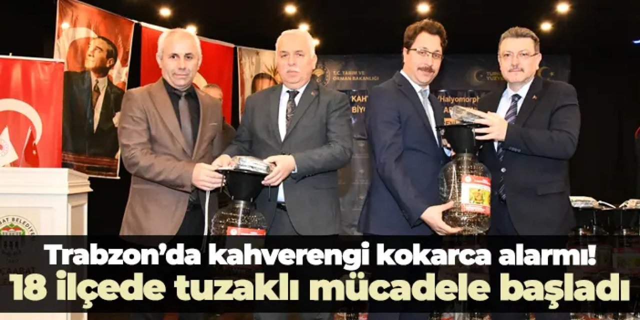 Trabzon’da kahverengi kokarca alarmı! 18 ilçede tuzaklı mücadele başladı