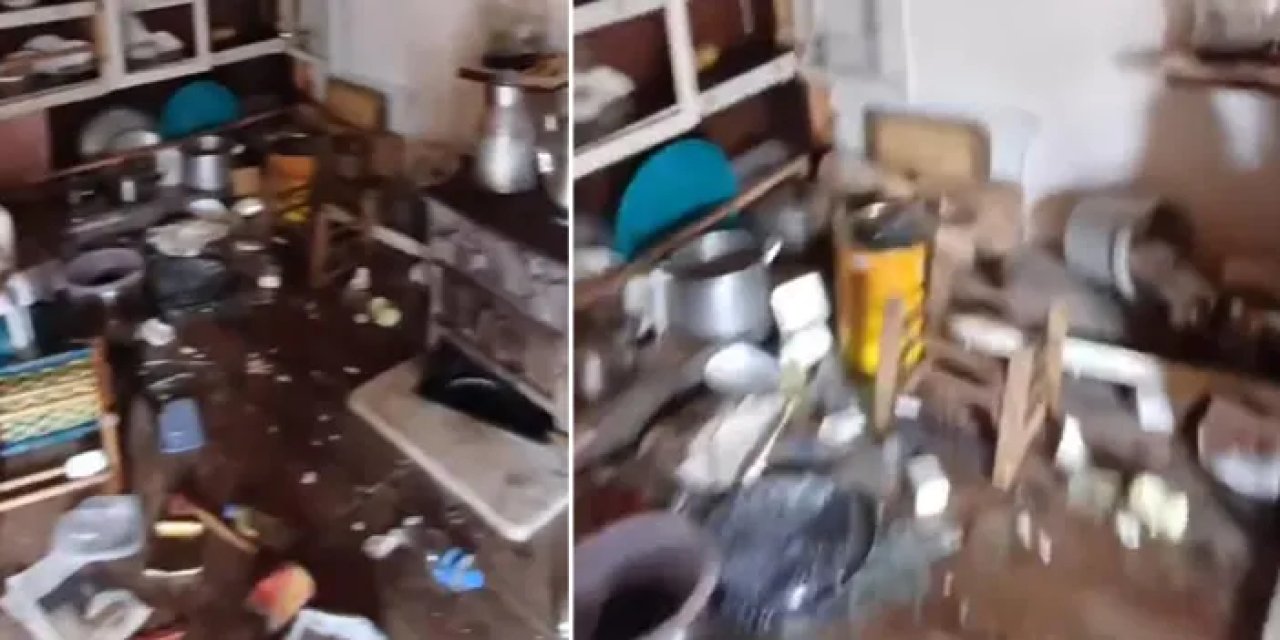 Rize’de ayı dehşeti! Yayla evi kış uykusundan uyanan ayılar tarafından talan edildi