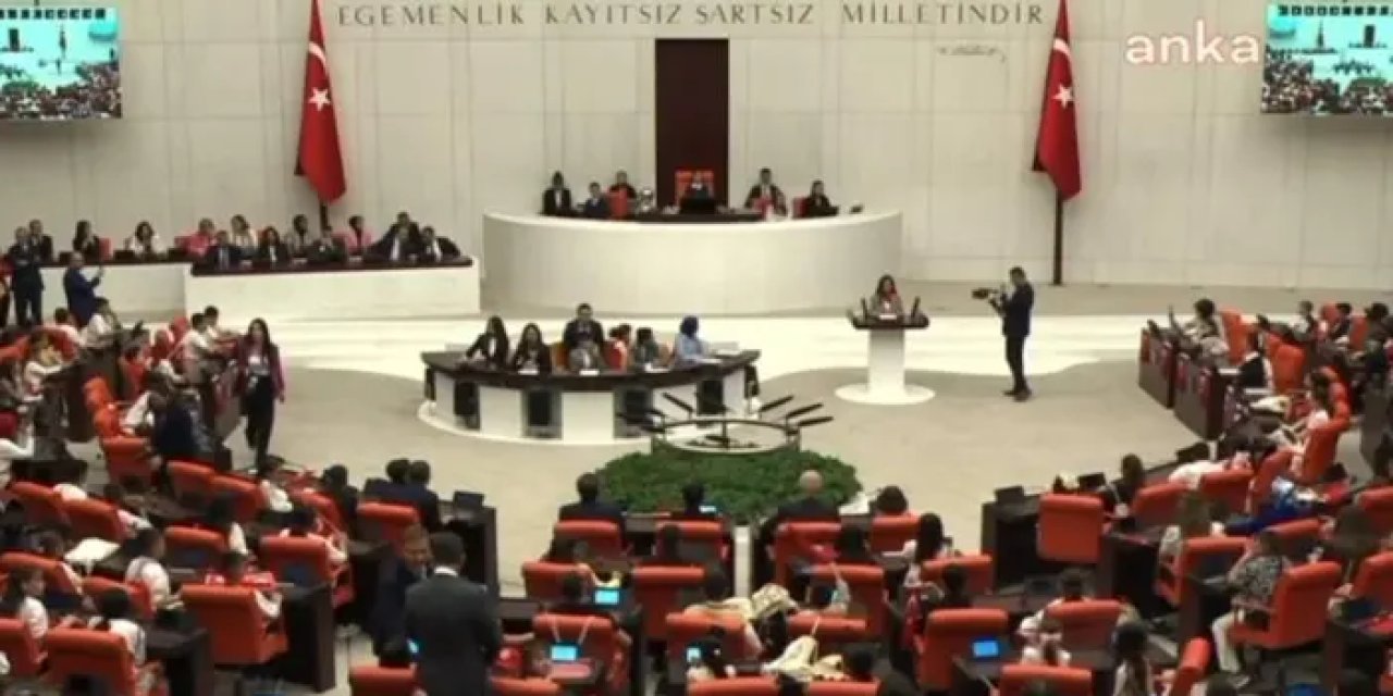 Ordulu ortaokul öğrencisi Türkiye birincisi oldu!