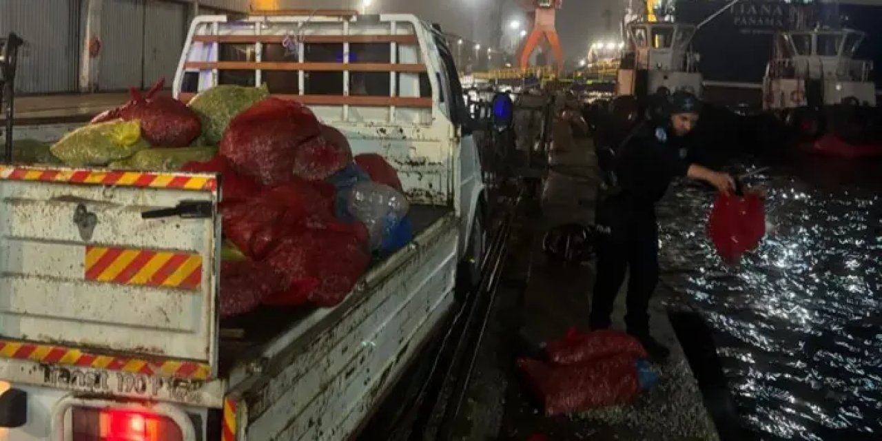 Samsun’da dev operasyon! 2 ton kaçak midye ele geçirildi