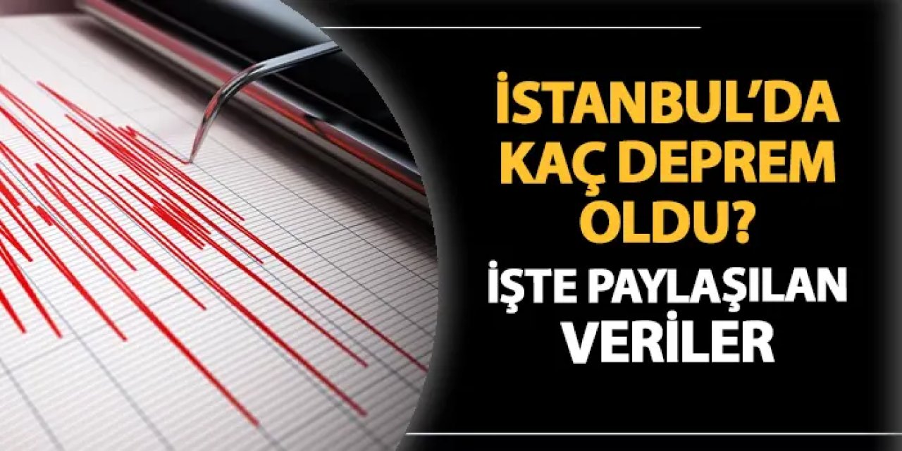 İstanbul'da kaç deprem oldu? İşte AFAD'ın paylaştığı veriler