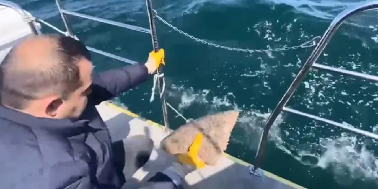 Ordu’da denize serili kalkan ağına el konuldu!