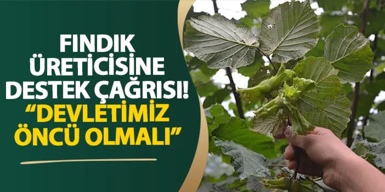 Samsun’dan fındık üreticisine destek çağrısı! “Devletimiz öncü olmalı”