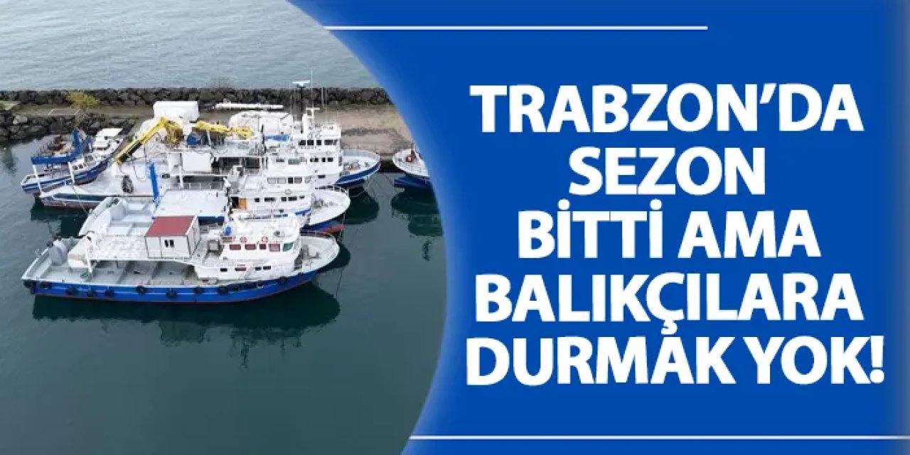 Trabzon’da sezon bitti ama balıkçılara durmak yok!