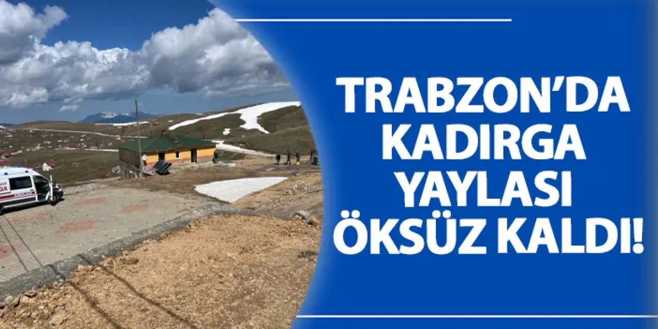 Trabzon’da Kadırga Yaylası öksüz kaldı!