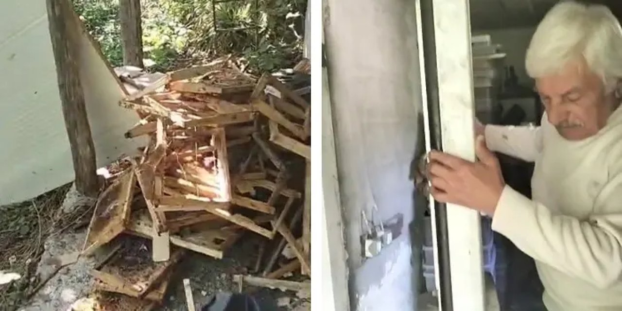 Rize’de bal üreticisine ayı şoku!