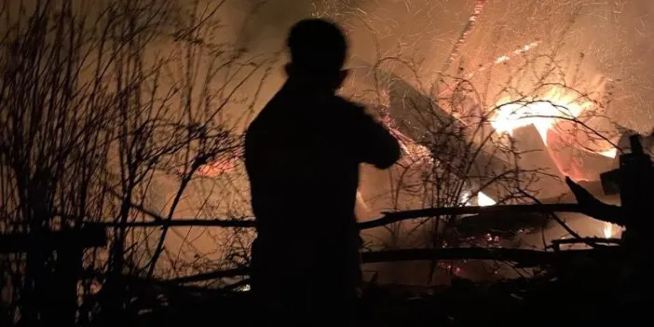 Giresun’da yangın faciası: Ev sahibi hayatını kaybetti