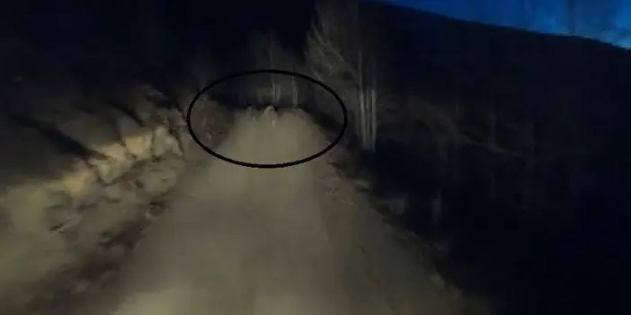 Bayburt’ta motosikletin önünde koşan iki ayı görüntülendi!
