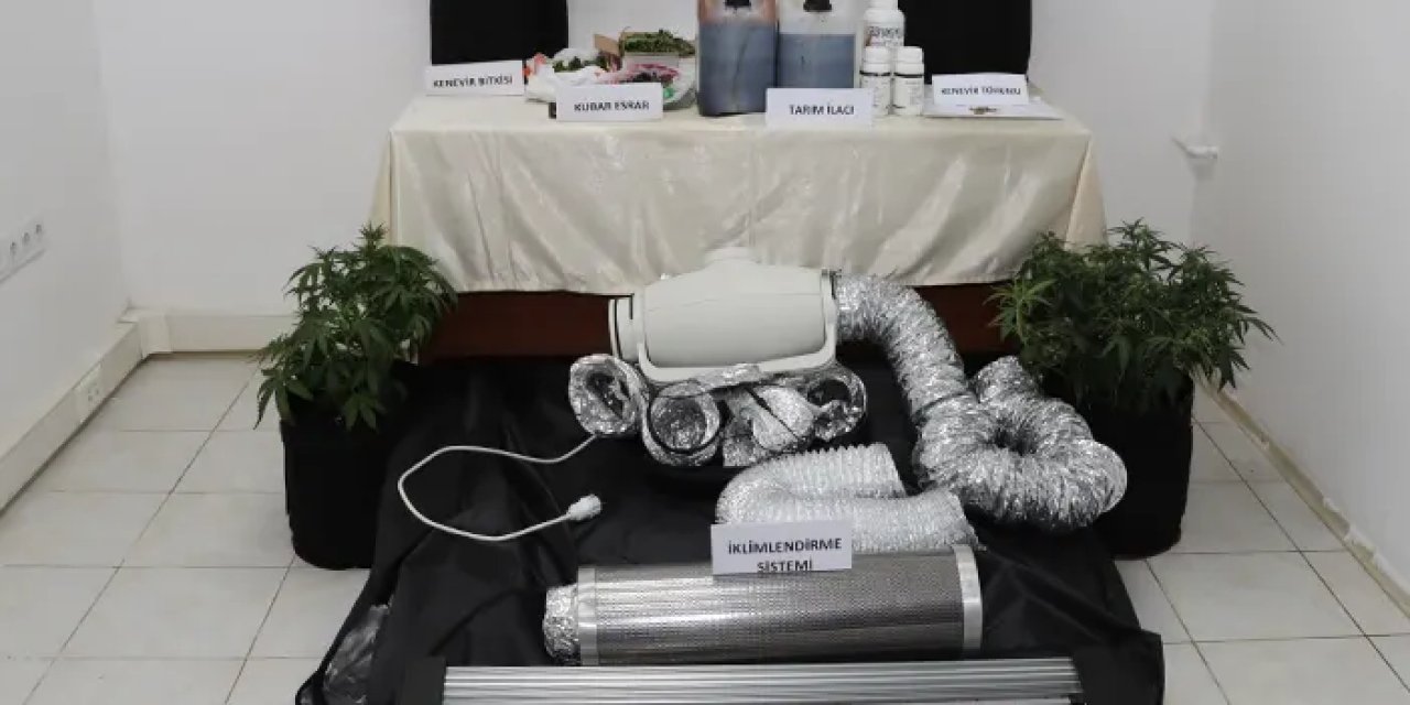 Samsun’da evin içinde kenevir serası: Bir kişi gözaltında