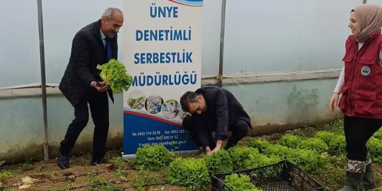 Ordu’da denetimli serbestlikteki hükümlüler üretimle hayata tutunuyor
