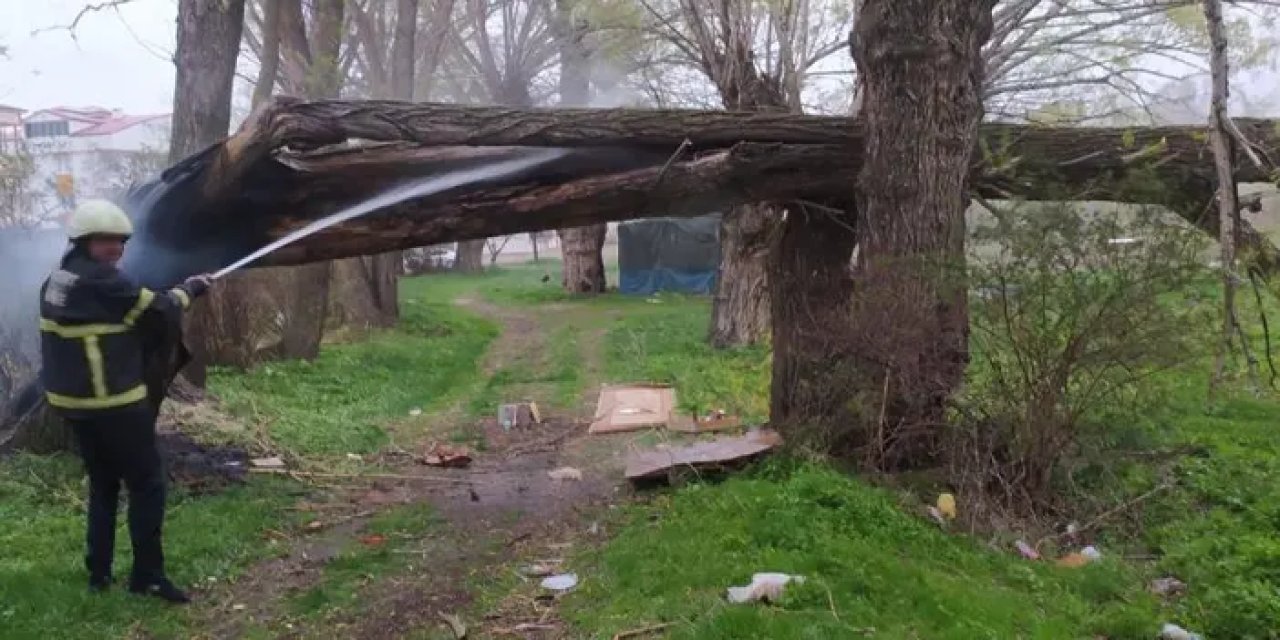 Bayburt’ta yıldırım düşen ağaç ikiye bölündü!