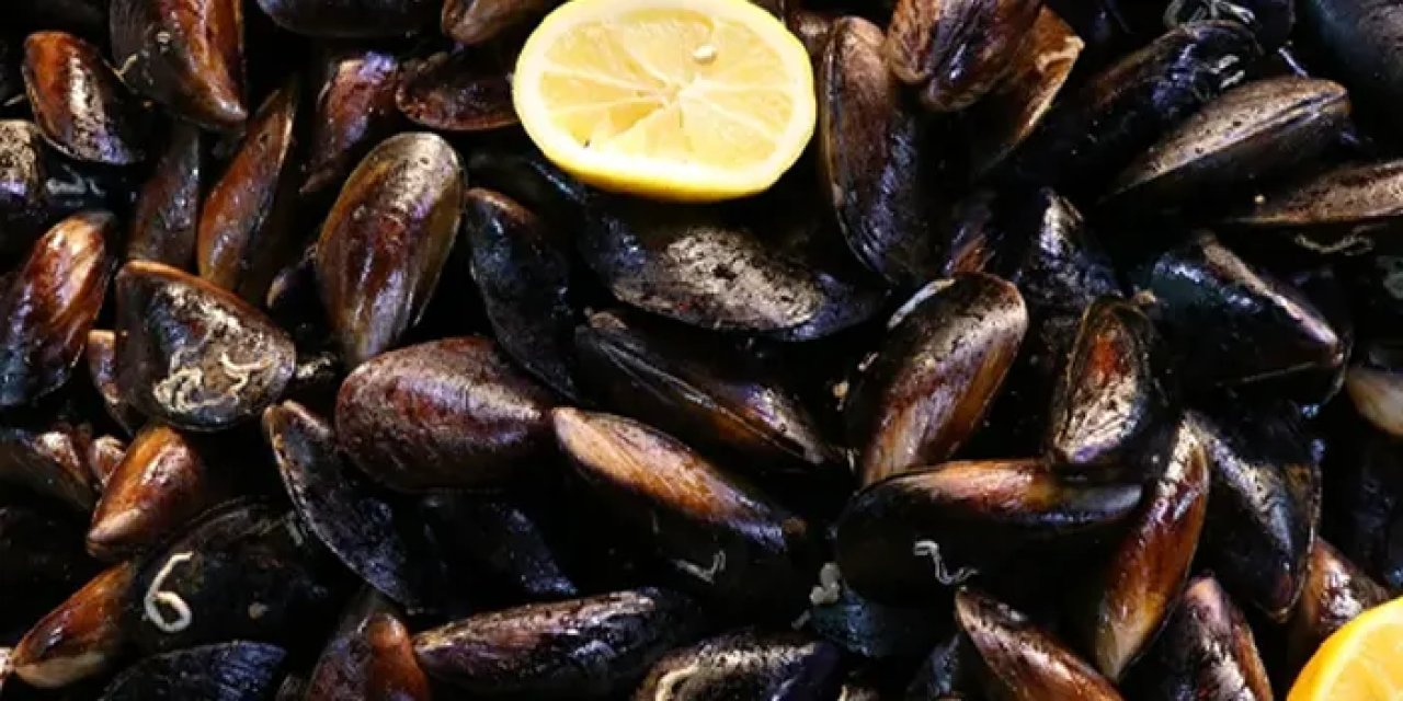 Samsun'da midye avladıklarına bin pişman oldular!