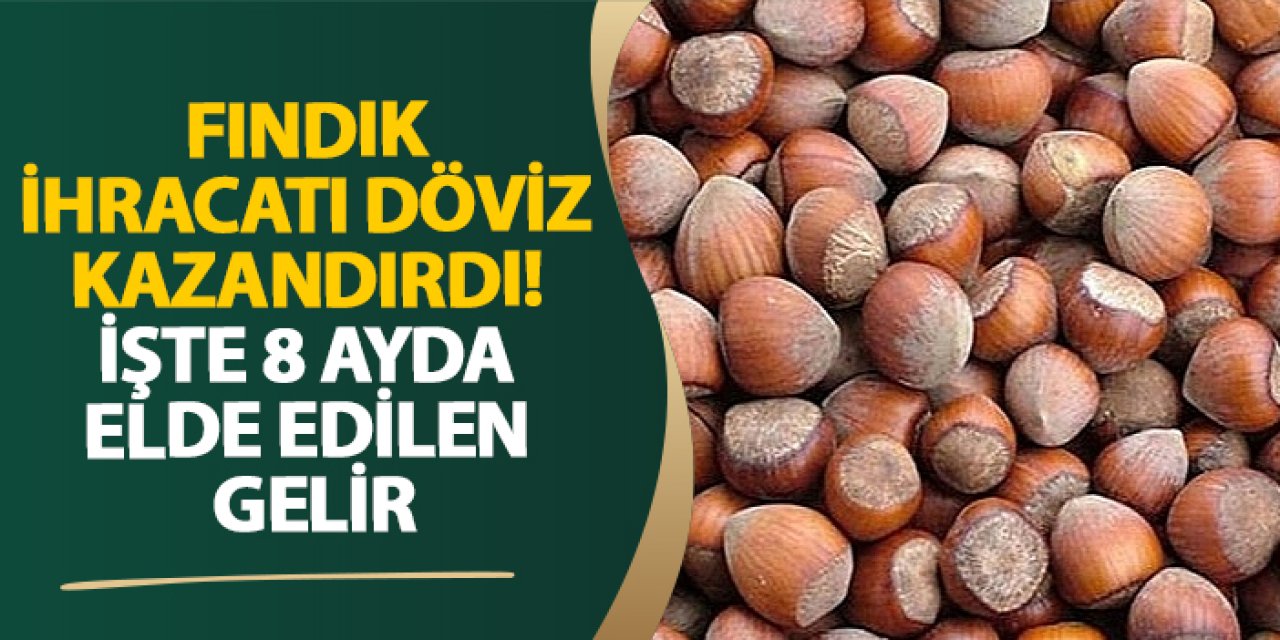 Fındık ihracatı döviz kazandırdı! İşte 8 ayda elde edilen gelir