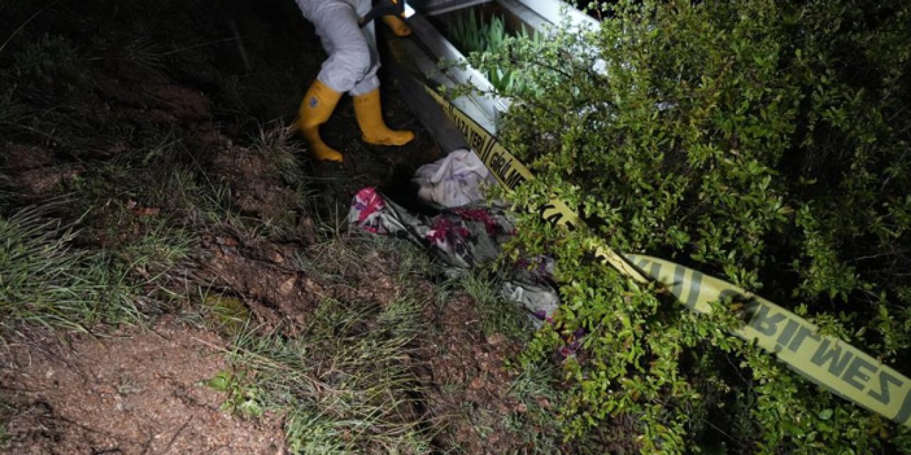 Gümüşhane’de ayılar mezarlığa dadandı!