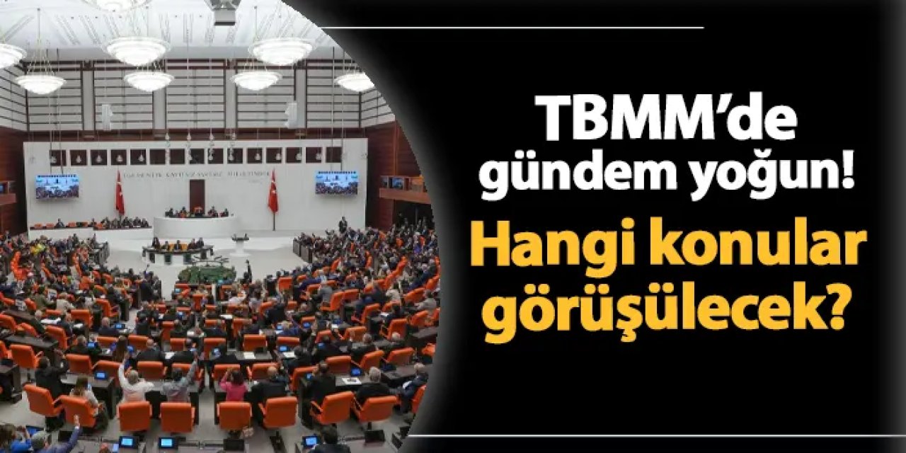 TBMM'de gündem yoğun! Bu hafta hangi konular görüşülecek?
