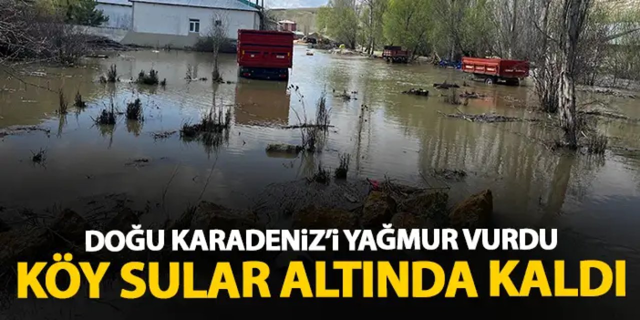 Bayburt'ta dere taştı! Köy sular altında kaldı!