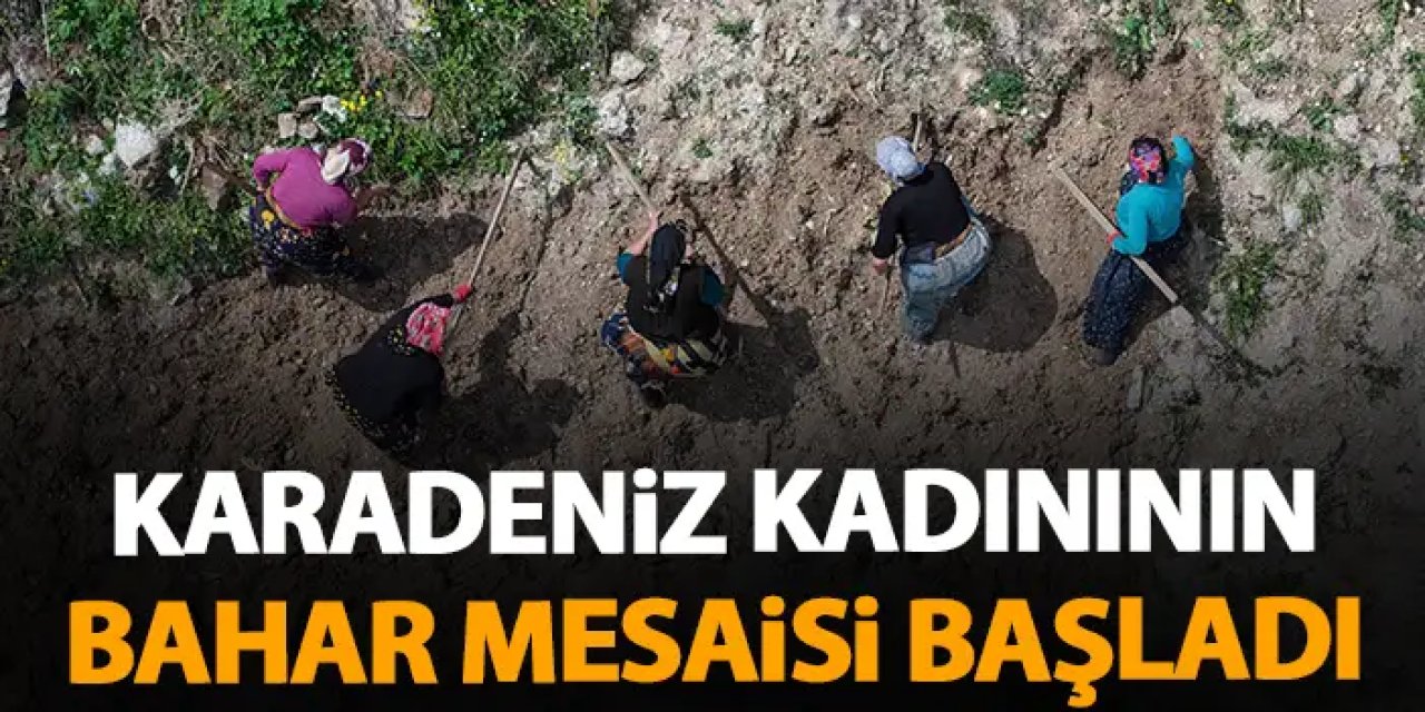 Karadeniz kadınının bahar mesaisi başladı!
