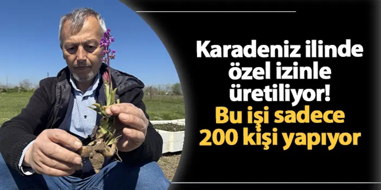 Samsun'da özel izinle üretiliyor! Sadece 200 kişi bu işi yapıyor