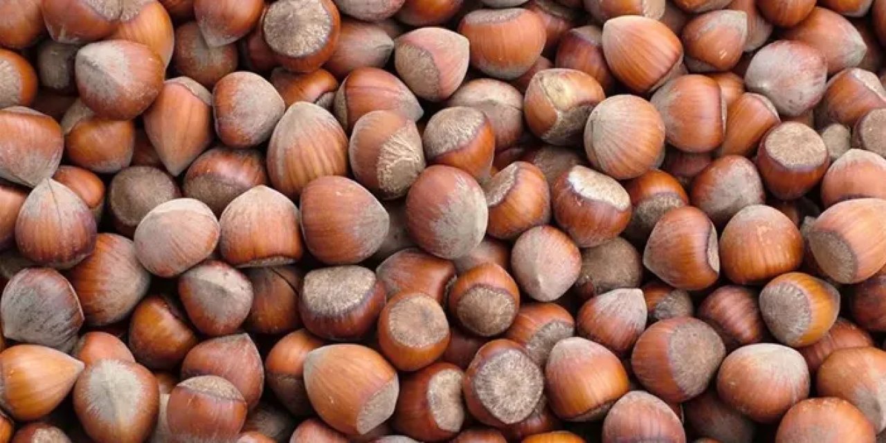Fındık ihracatında rekor gelir: 4 ayda 852 milyon dolar!