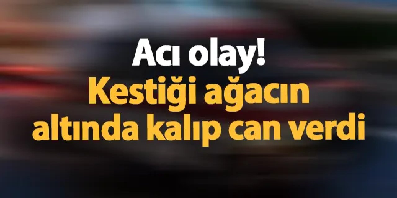 Giresun'da acı olay! Kestiği ağacın altında kalıp can verdi