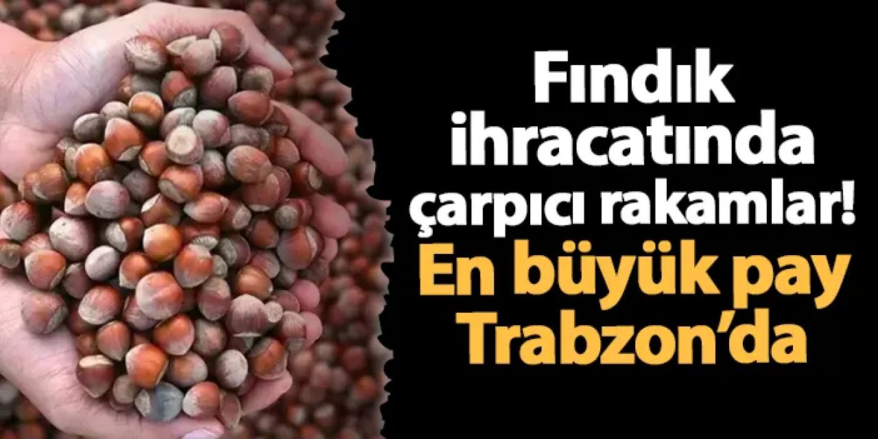 Fındık ihracatında çarpıcı rakamlar! En büyük pay Trabzon'da