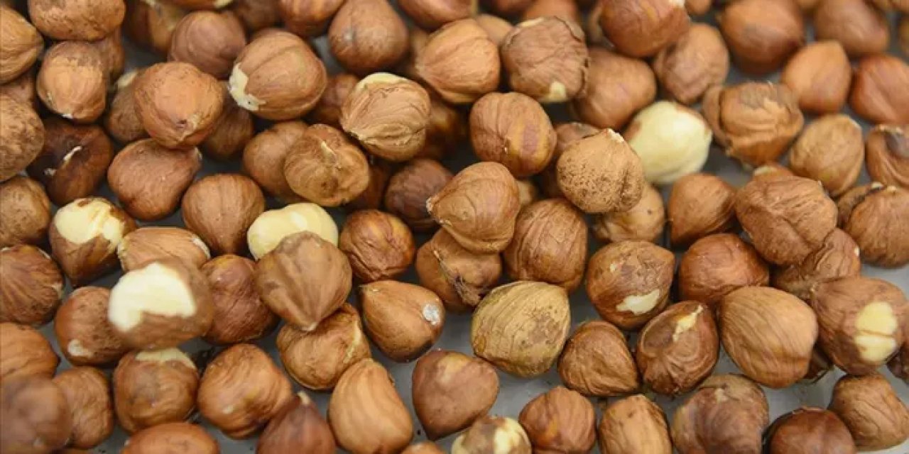 8 ayda 550 bin ton fındık satıldı!