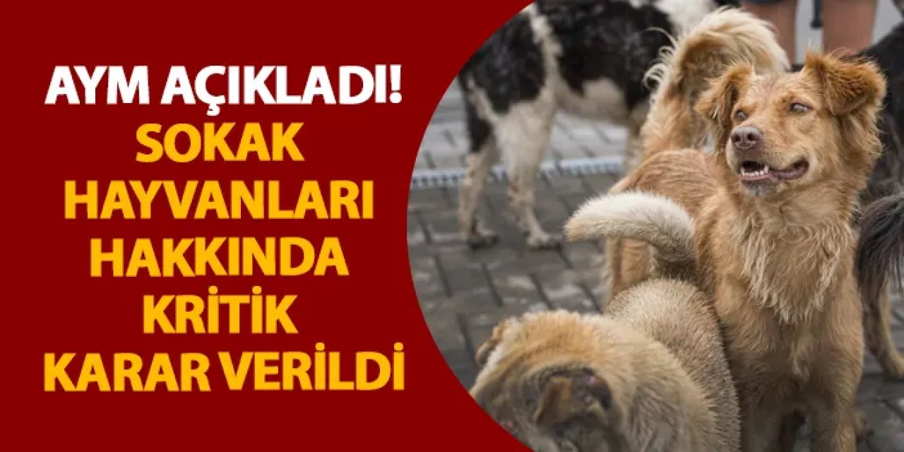 AYM açıkladı! Sokak hayvanları hakkında kritik karar verildi
